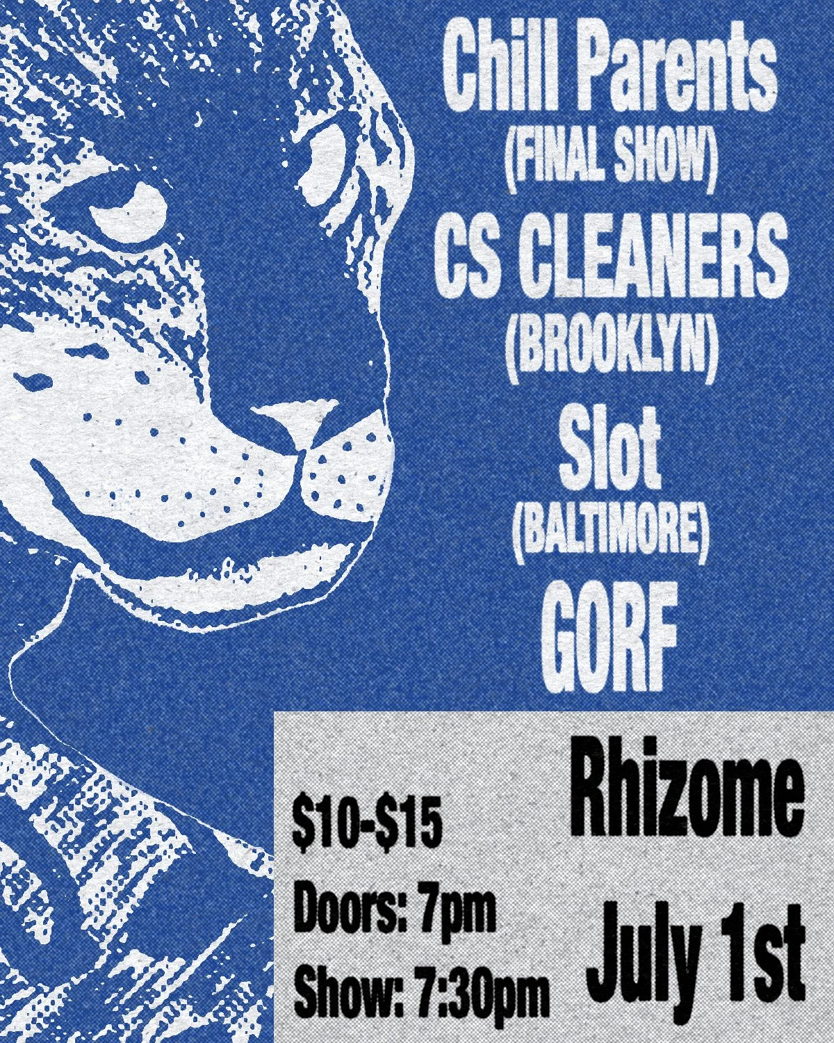 Chill Parents / CS Cleaners / Slot / GORF — Rhizome DC